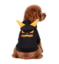 Roxy-Spooky Pet Hoodie