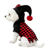Jester Pet Costume
