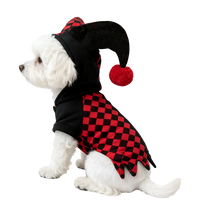 Jester Pet Costume