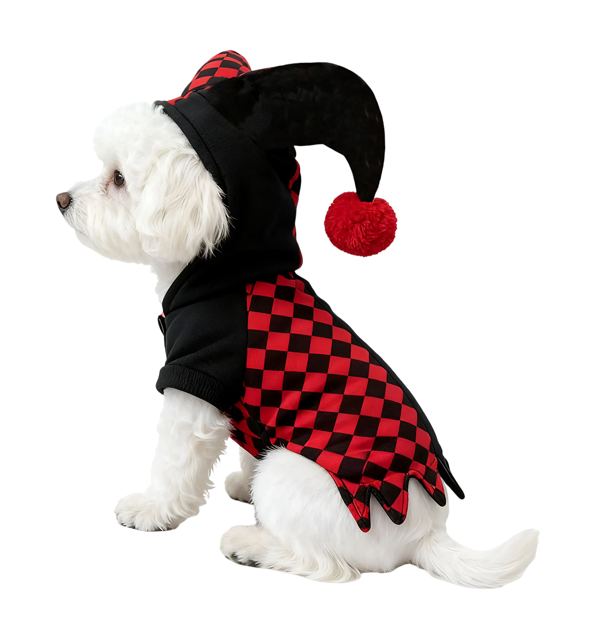 Jester Pet Costume