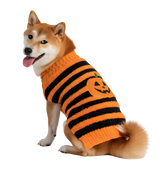 Tina-Halloween Sweater