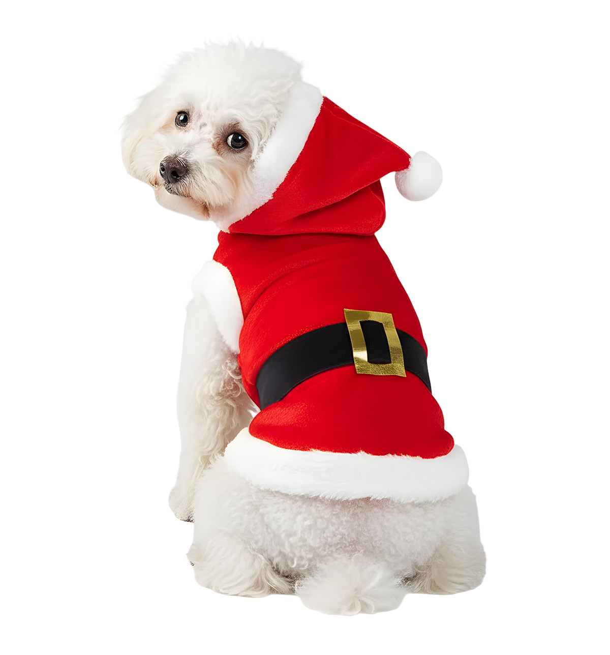 Moly-Christmas Hoodie