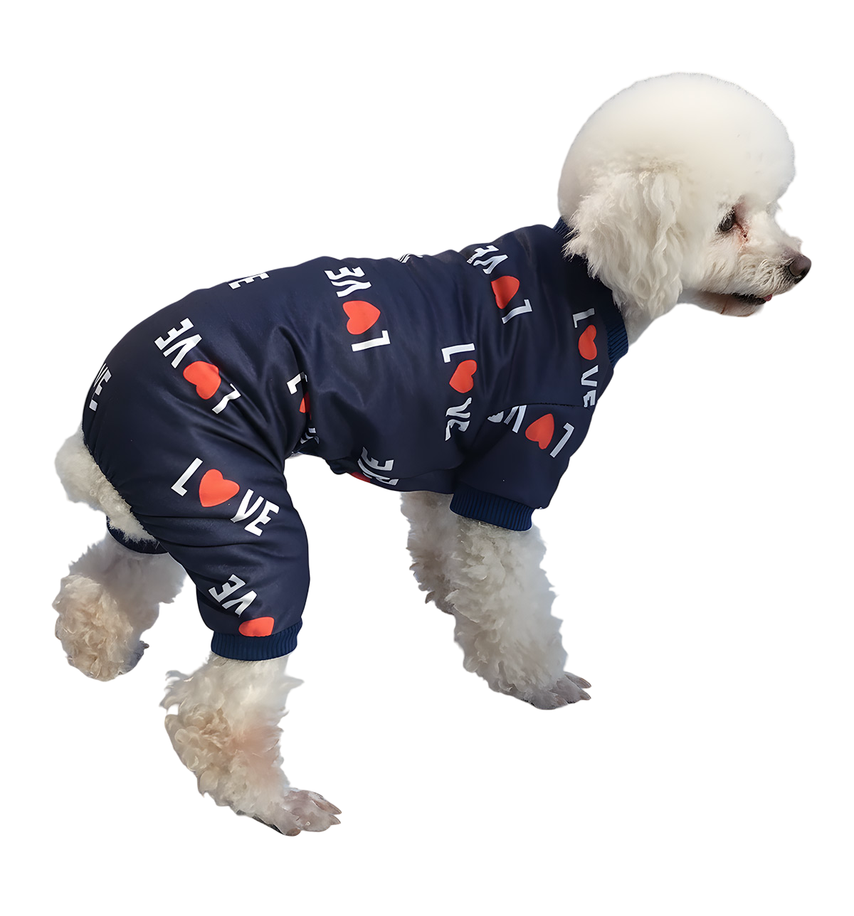 Leni-Valentine Pet Suit