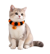 Ghost Charm Pet Collar