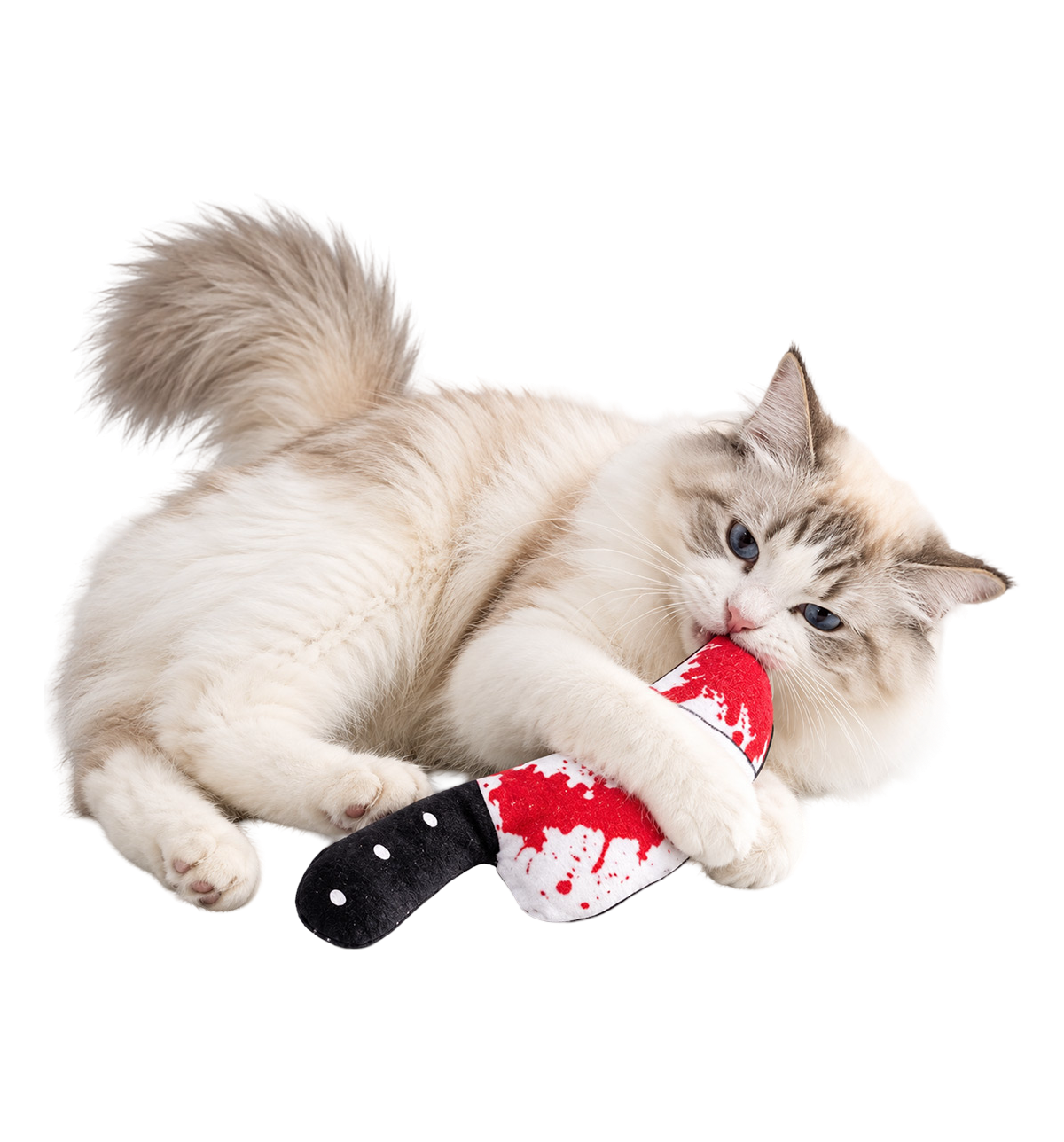 Spooky Plush Pet Toys