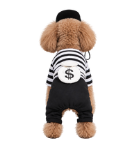 Prisoner Pet Costume