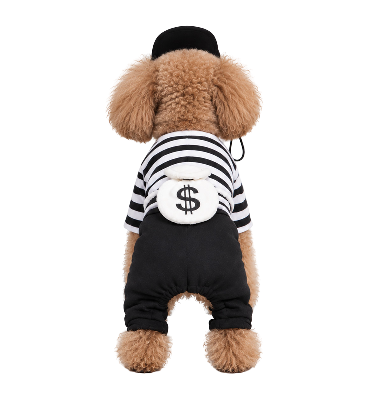 Prisoner Pet Costume