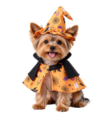 Halloween Pet Cape Set