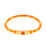 Glow Pet Collar