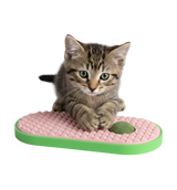 Cora-Corner Scratcher