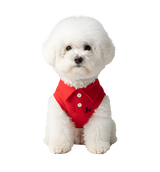 Luki-Classic Polo Suit