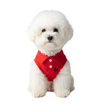 Luki-Classic Polo Suit