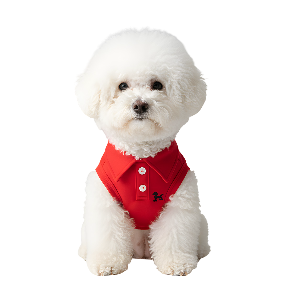 Luki-Classic Polo Suit