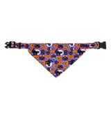 Halloween Pet Bandana
