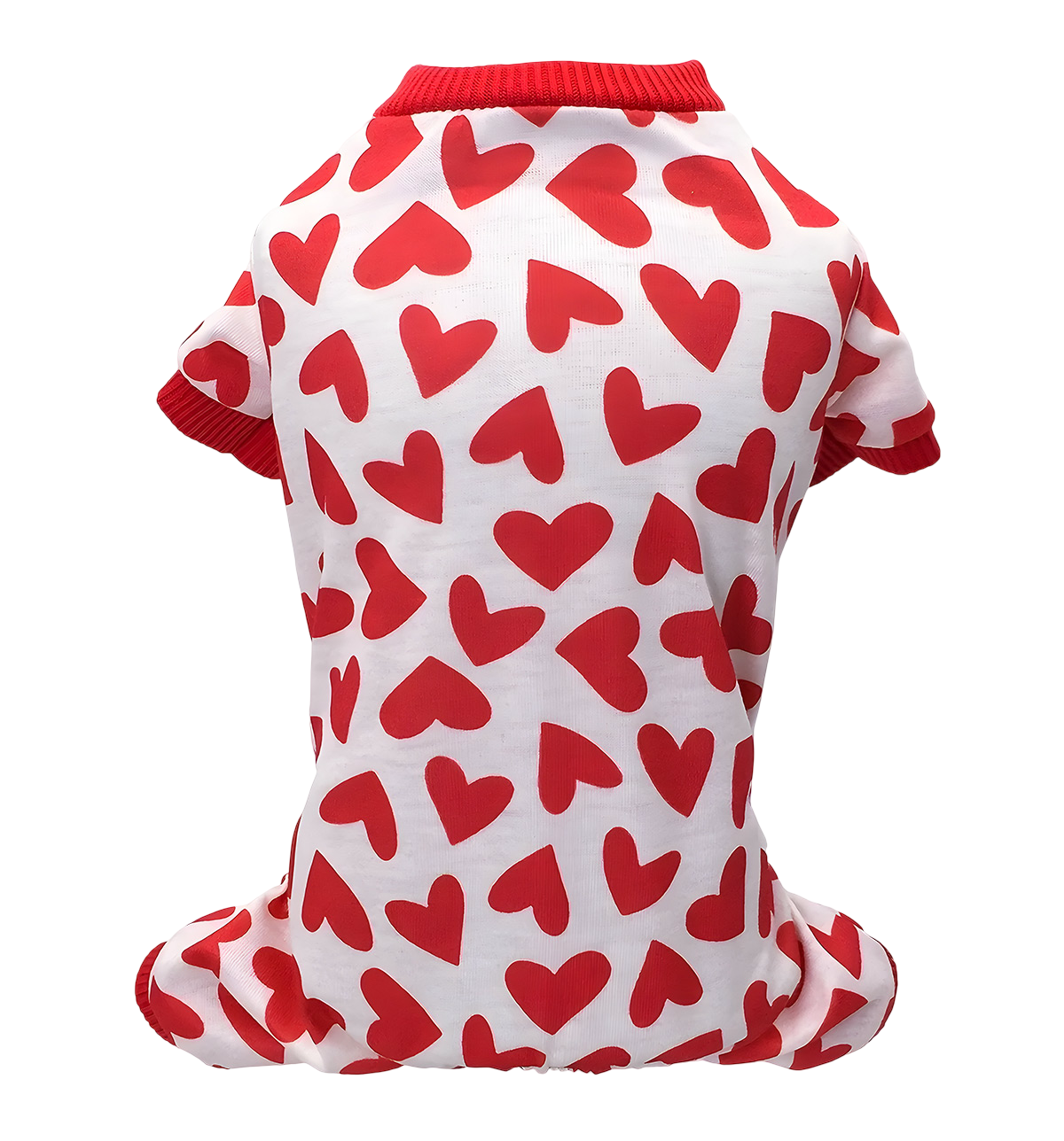 Leni-Valentine Pet Suit