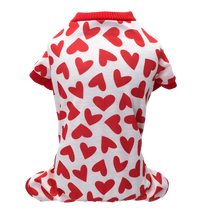 Leni-Valentine Pet Suit