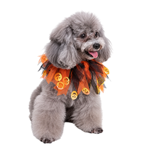 Halloween Pet Tutu Collar