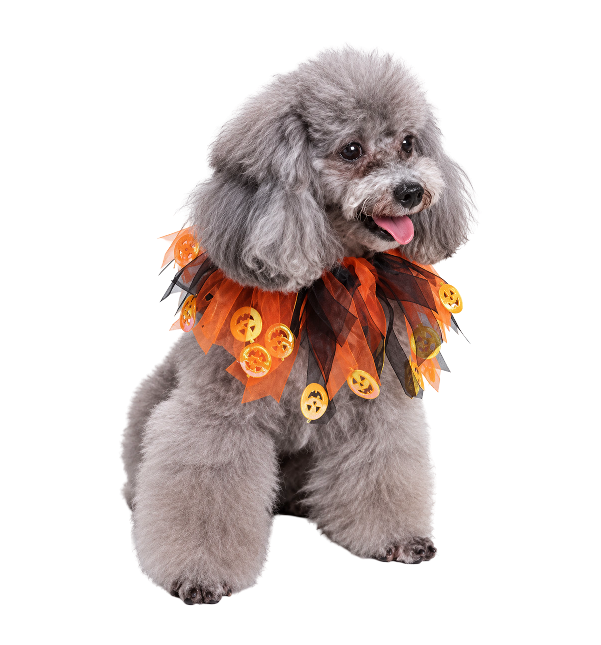 Halloween Pet Tutu Collar