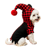 Jester Pet Costume