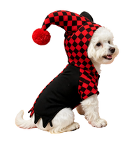 Jester Pet Costume
