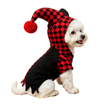 Jester Pet Costume