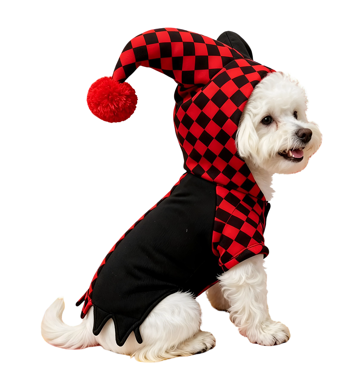 Jester Pet Costume