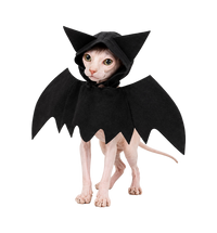 Bat Wing Pet Costume