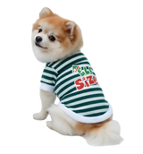 Lupy-Elf Stripe Suit