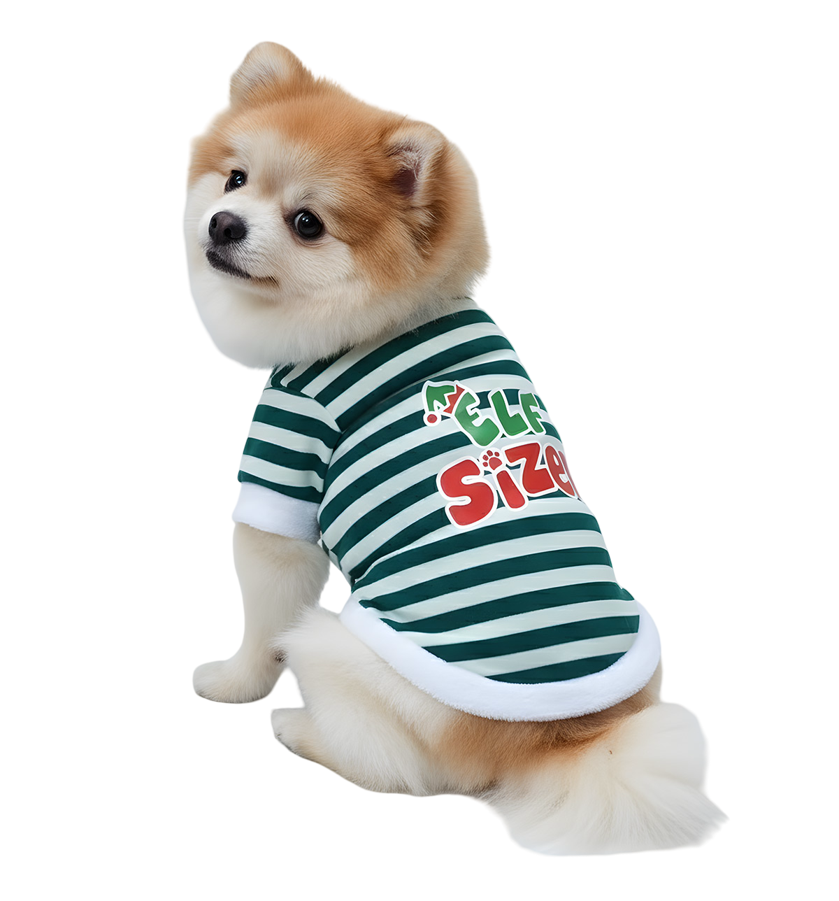 Lupy-Elf Stripe Suit