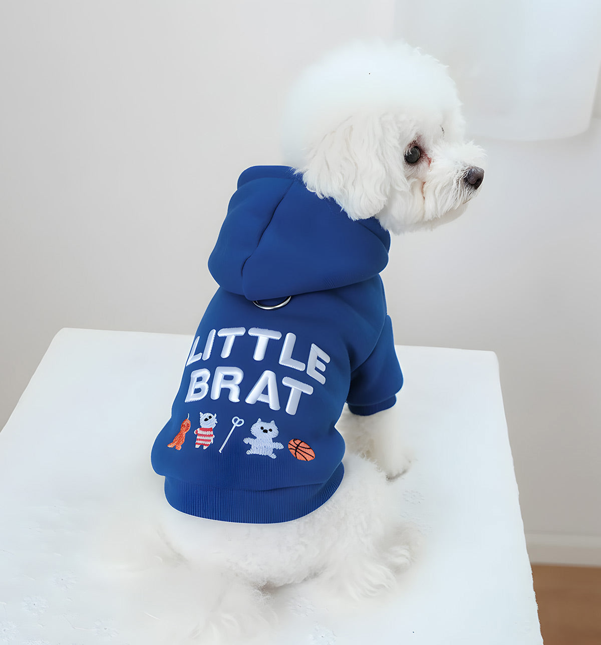 Benny-Cool Pup Hoodie
