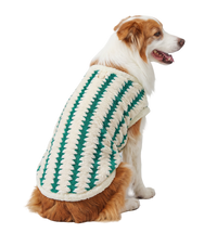 Cozy Knit Pet Vest