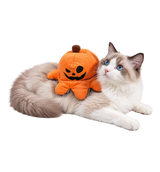 Pumpkin Rider Pet Costume