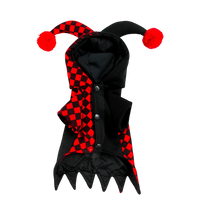 Jester Pet Costume