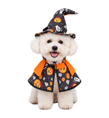 Halloween Pet Cape Set