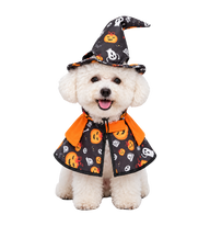 Halloween Pet Cape Set