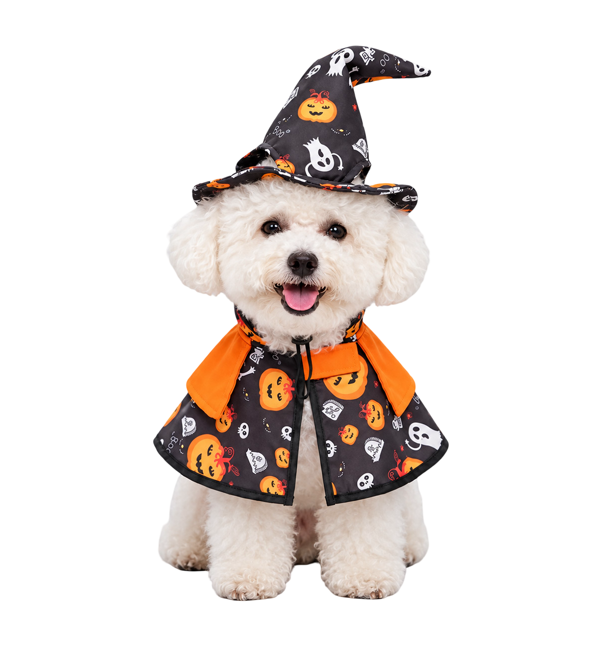 Halloween Pet Cape Set