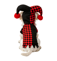 Jester Pet Costume