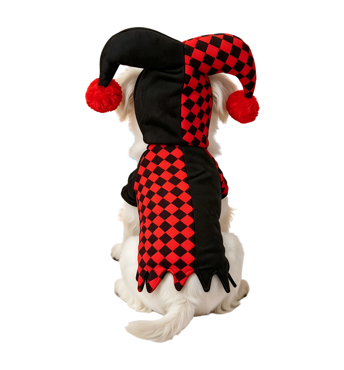Jester Pet Costume