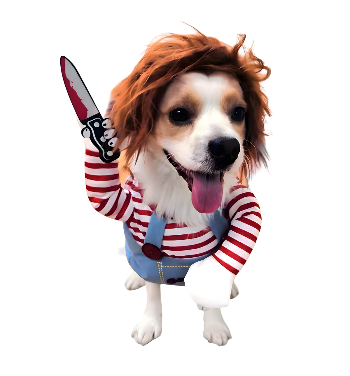 Tato-Funny Pet Costume