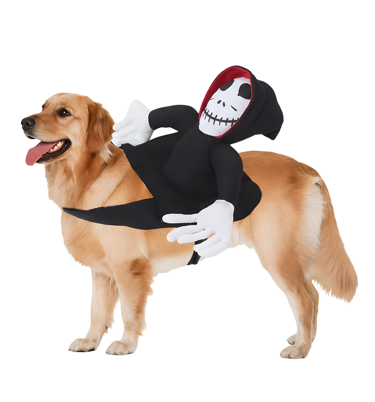 Nino-Halloween Pet Suit