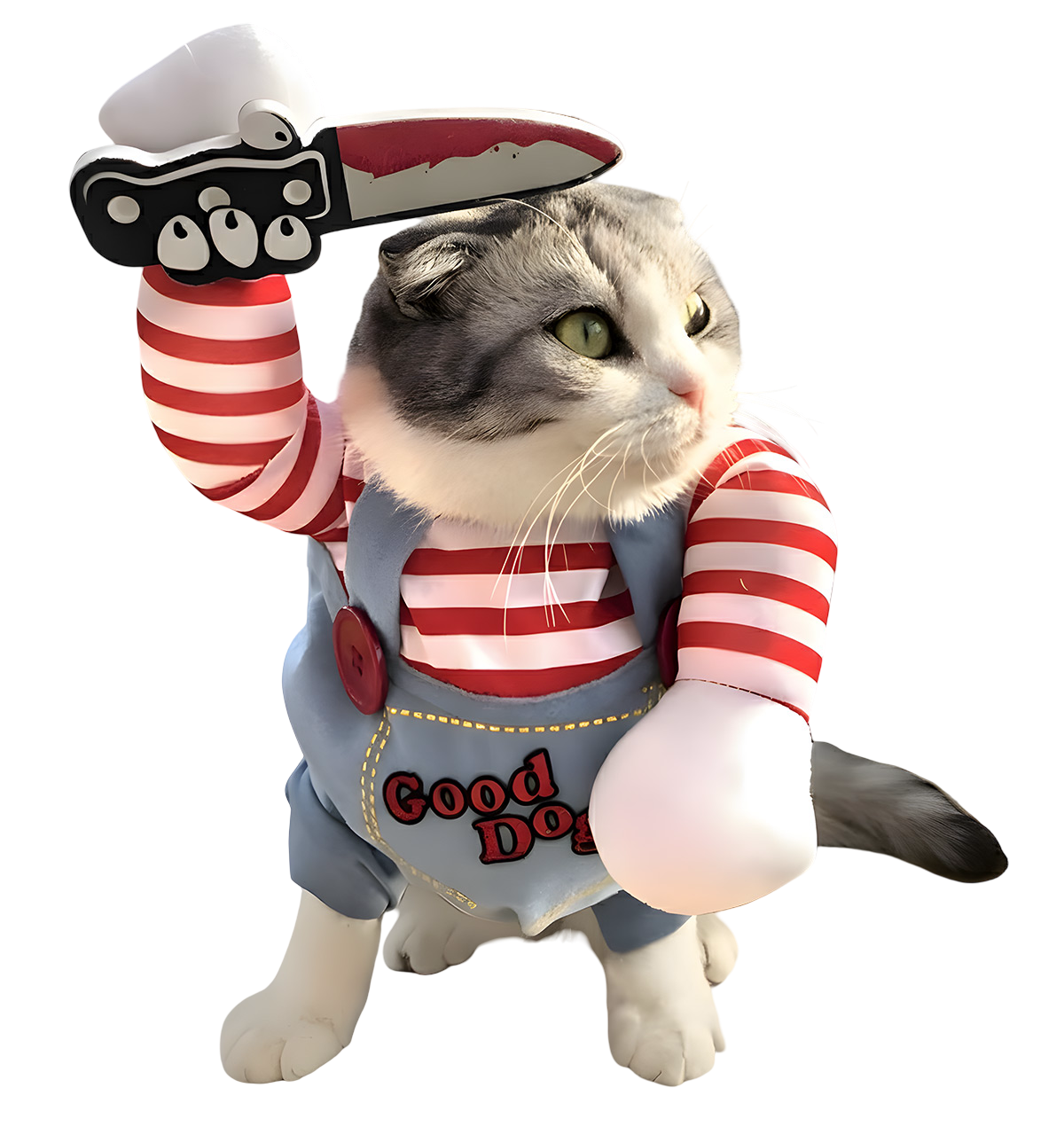 Tato-Funny Pet Costume