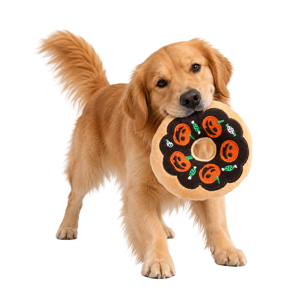 Halloween Donut Pet Toy