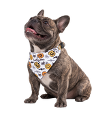 Halloween Pet Bandana