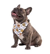 Halloween Pet Bandana