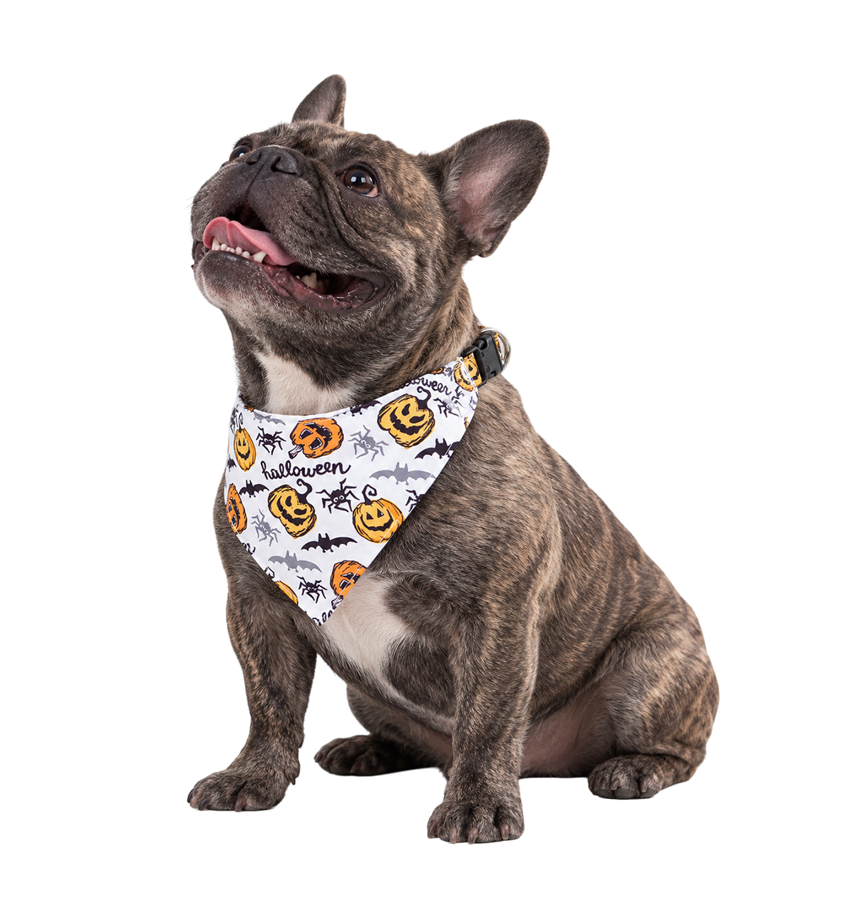 Halloween Pet Bandana