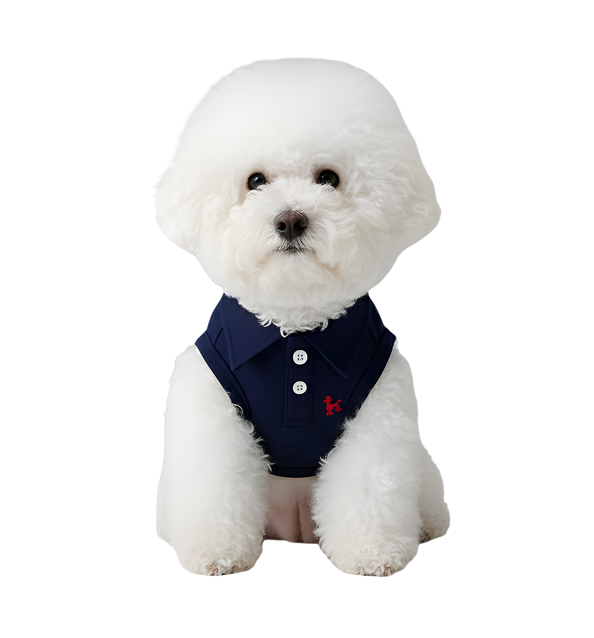 Luki-Classic Polo Suit