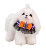 Witch Bow Pet Collar