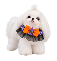 Witch Bow Pet Collar