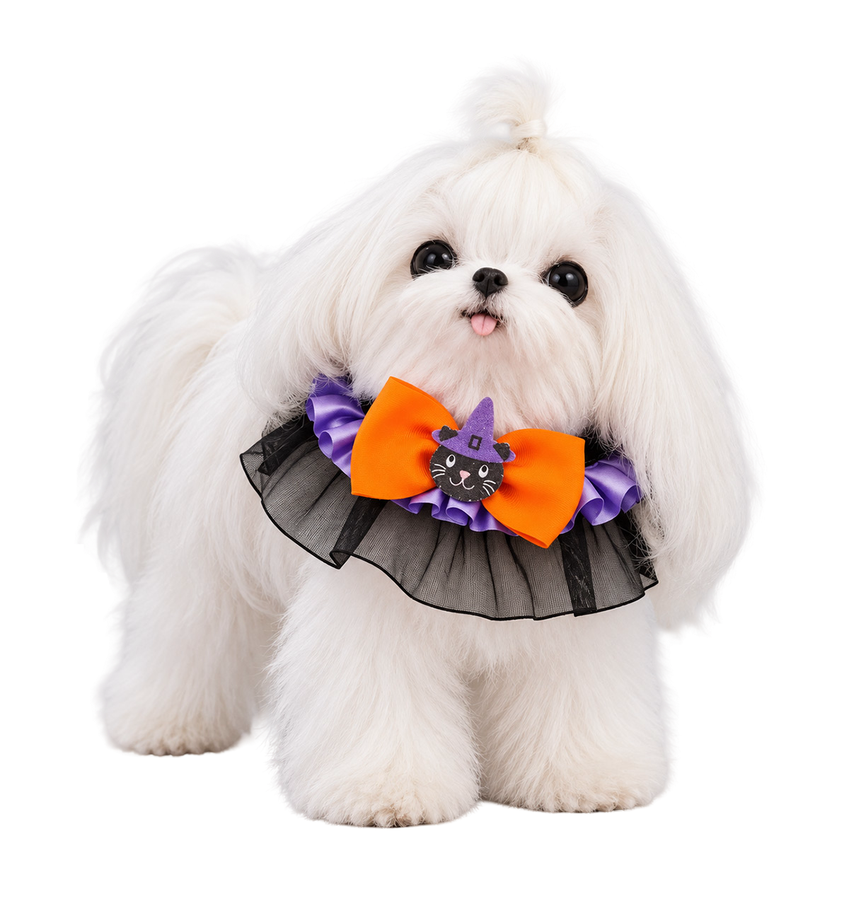 Witch Bow Pet Collar