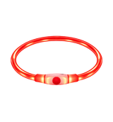 Glow Pet Collar